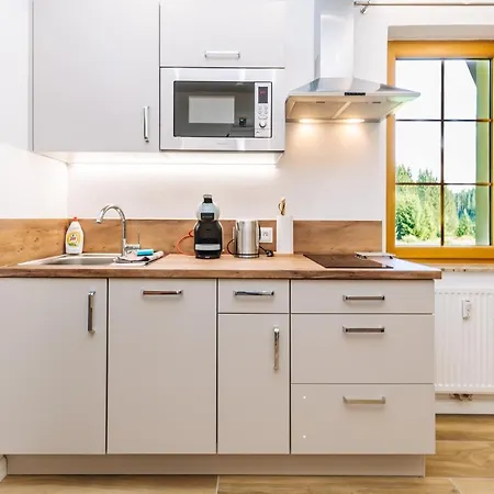 Apartmán Hugo Blatná Horní Blatná Esterno foto