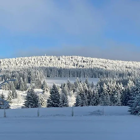 Apartmán Hugo Blatná Horní Blatná Esterno foto